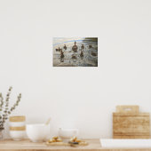 Schwimmende Enten Poster (Küche)