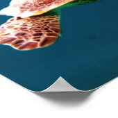 SCHWIMMENDE MEERKÜCHE POSTER (Ecke)