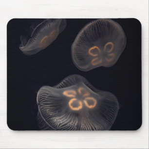 Schwimmende Mondqualle Mousepad