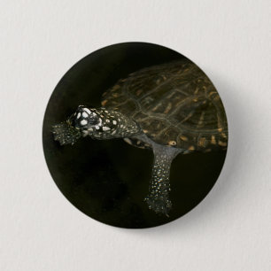 Schwimmende Schildkröte Button