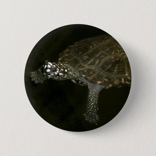 Schwimmende Schildkröte Button (Vorderseite)