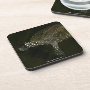 Schwimmende Schildkröte Untersetzer