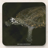 Schwimmende Schildkröte Untersetzer (Vorderseite)