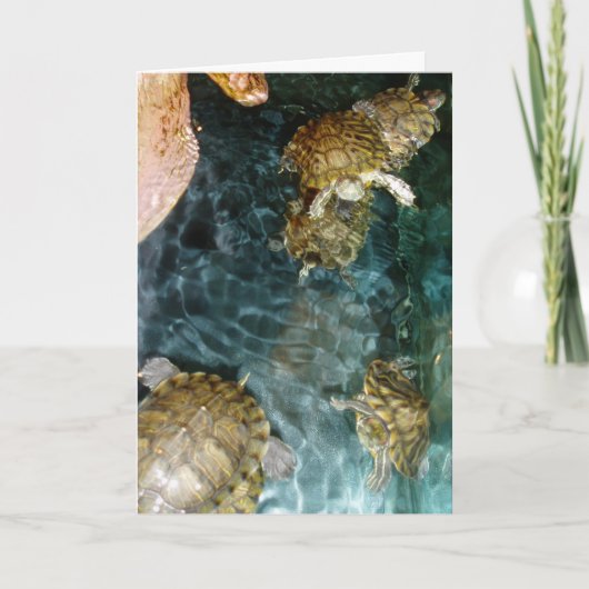 "Schwimmende Schildkröten" Dankeschön Karte (Vorderseite)