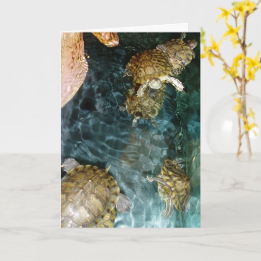 "Schwimmende Schildkröten" Dankeschön Karte (Gelbe Blume)