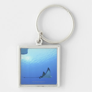 Schwimmende Strahlen, Saipan, Northern Mariana Schlüsselanhänger