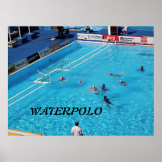 SCHWIMMENDE WELTCHAMPIONSHIP ROM 2009 POSTER