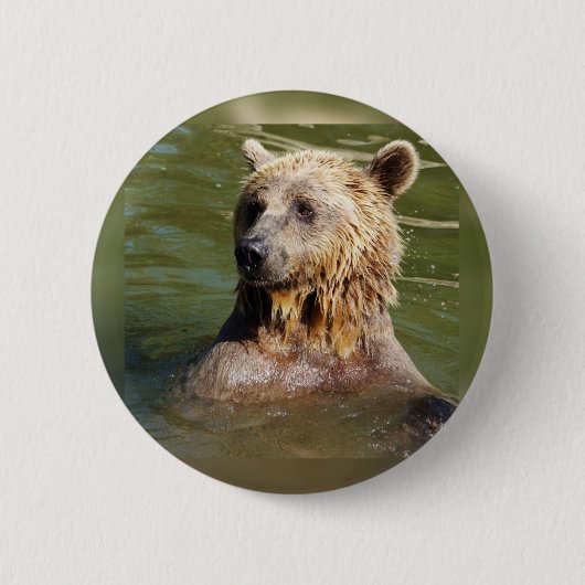 schwimmender Bär Button (Vorderseite)