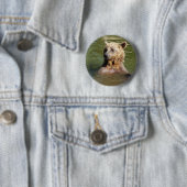 schwimmender Bär Button (Beispiel)