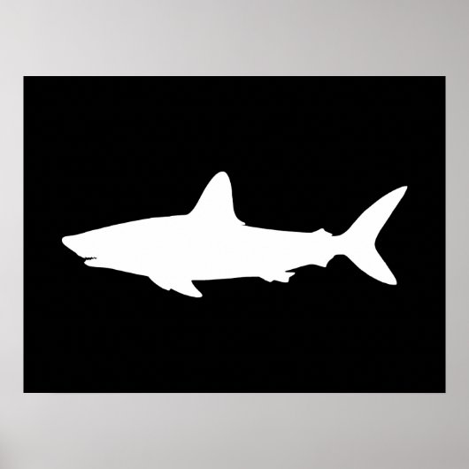 Schwimmender Hai Poster (Vorne)