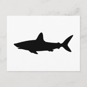 Schwimmender Hai Postkarte
