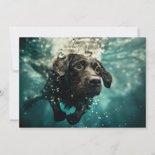 Schwimmender Labrador Welpe Unterwasser Design Karte