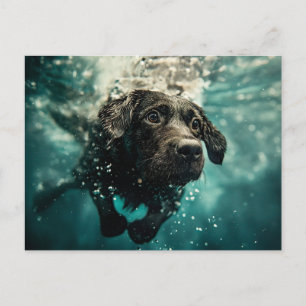Schwimmender Labrador Welpe Unterwasser Design Postkarte