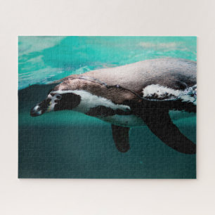 Schwimmender Pinguin, Puzzle