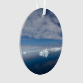 Schwimmendes Eis in der Antarktis Ornament (Vorderseite)