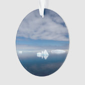 Schwimmendes Eis in der Antarktis Ornament (Vorderseite)