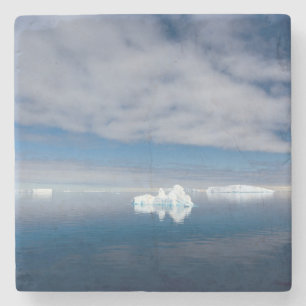 Schwimmendes Eis in der Antarktis Steinuntersetzer