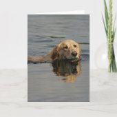 Schwimmendes golden retriever karte (Vorderseite)