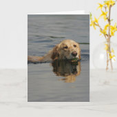 Schwimmendes golden retriever karte (Gelbe Blume)
