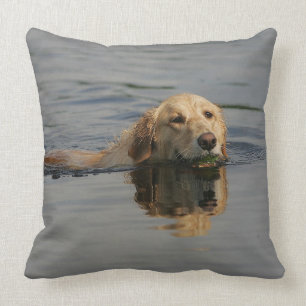 Schwimmendes golden retriever kissen