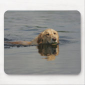 Schwimmendes golden retriever mousepad (Vorne)