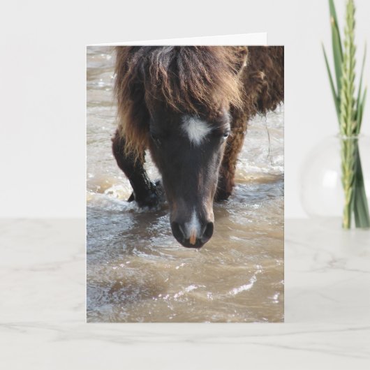 Schwimmendes Pferd Geburtstag Karte (Vorderseite)