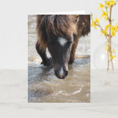 Schwimmendes Pferd Geburtstag Karte (Gelbe Blume)