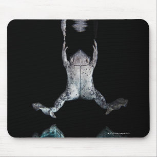 Schwimmenfrosch Mousepad