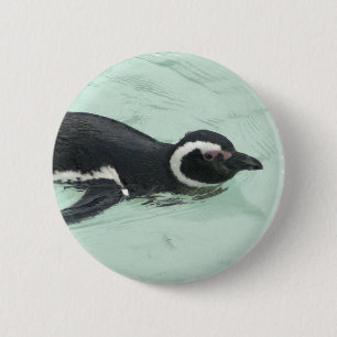 Schwimmenpenguin-rundes Button