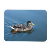 Schwimmente Magnet (Horizontal)