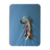 Schwimmente Magnet (Vertikal)