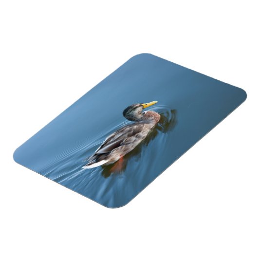 Schwimmente Magnet (Linke Seite)