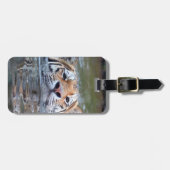 SchwimmenTiger20150901 Gepäckanhänger (Vorderseite horizontal)