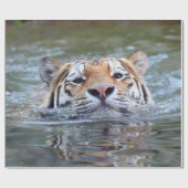 SchwimmenTiger20150901 Geschenkpapier (Flach)