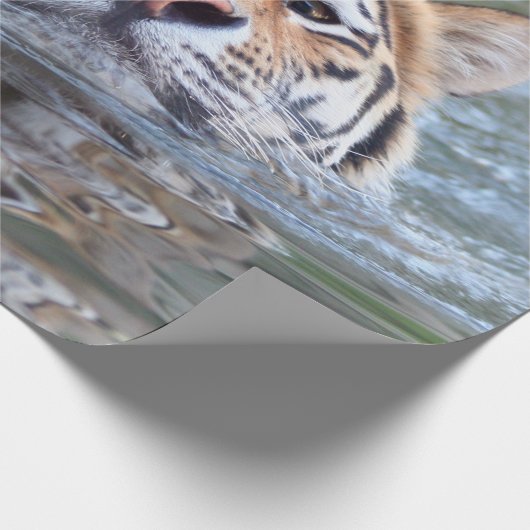 SchwimmenTiger20150901 Geschenkpapier (Ecke)
