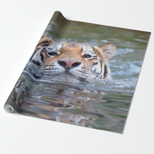 SchwimmenTiger20150901 Geschenkpapier (Ungerollt)