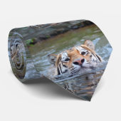 SchwimmenTiger20150901 Krawatte (Gerollt)