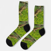 Schwimmer, Crew Socken (Linkes Detail)