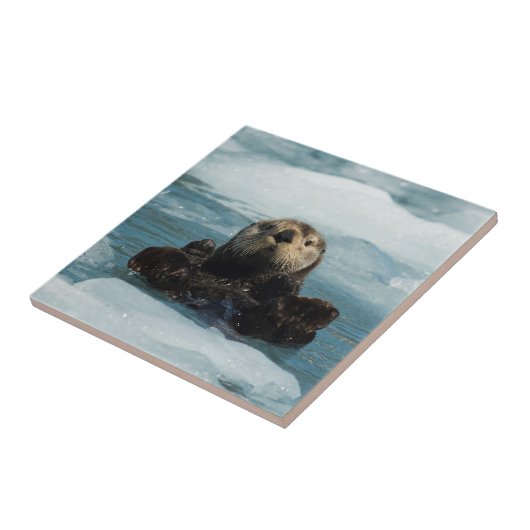 Schwimmer Fliese (Seite)