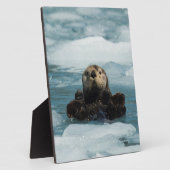 Schwimmer Fotoplatte (Seite)