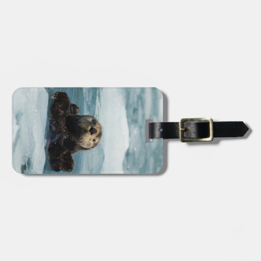 Schwimmer Gepäckanhänger (Vorderseite horizontal)