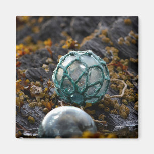 Schwimmer im Gezeitenbecken, Alaska Magnet