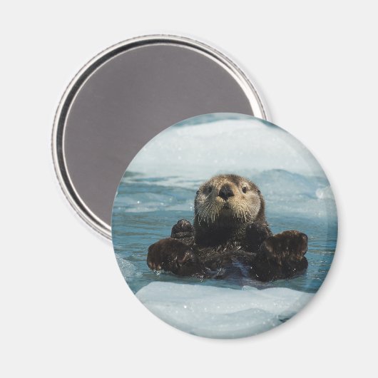 Schwimmer Magnet (Vorderseite/Rückseite)