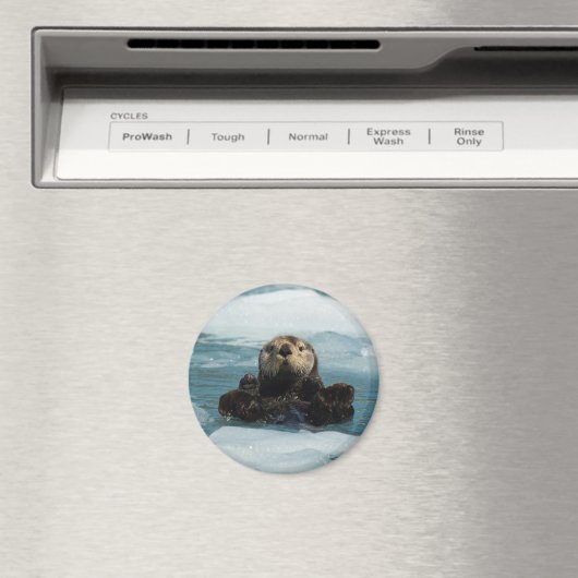 Schwimmer Magnet (In Situ (Geschirrspüler))