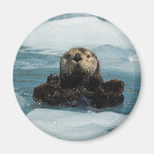 Schwimmer Magnet (Vorne)