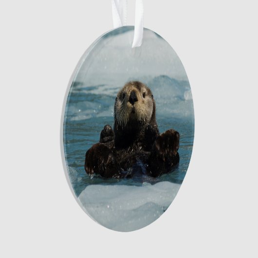 Schwimmer Ornament (Vorderseite)