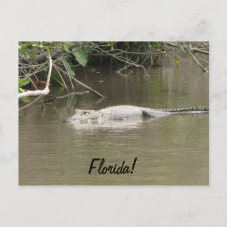 Schwimmer Postkarte