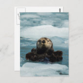 Schwimmer Postkarte (Vorne/Hinten)