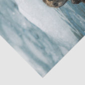 Schwimmer Seidenpapier (Ausschnitt)