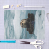 Schwimmer Seidenpapier (Handwerk)